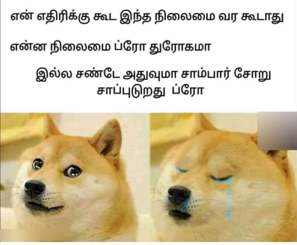 Funny memes collection on sunday special food 29-10-2023