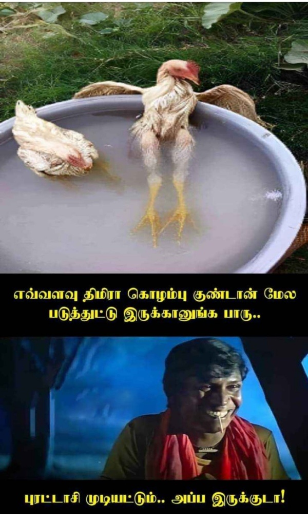 Purattasi sunday memes: Funny memes collection on purattasi month sunday Purattasi sunday memes: Funny memes collection on purattasi month sunday