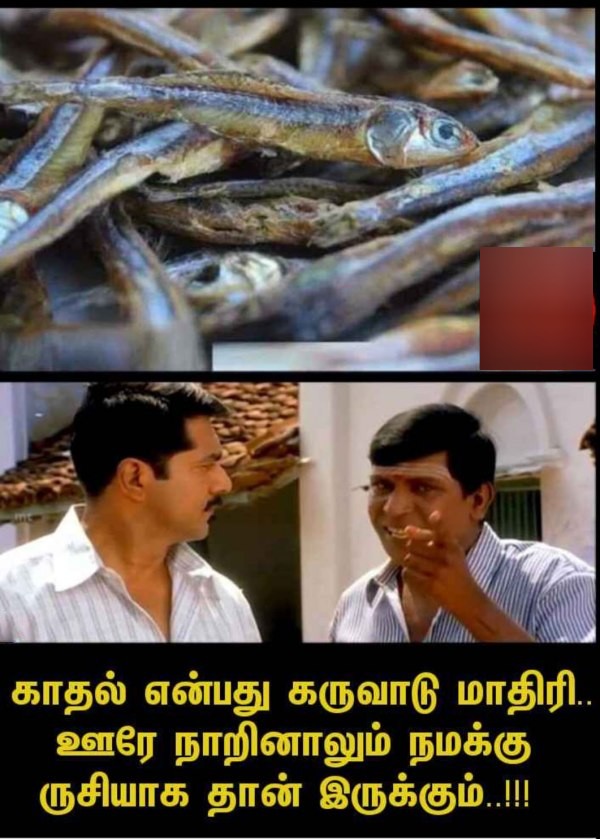 Purattasi sunday memes: Funny memes collection on purattasi month sunday Purattasi sunday memes: Funny memes collection on purattasi month sunday