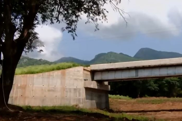  Monitoring with artificial intelligence tools to prevent elephants from getting hit by train tracks