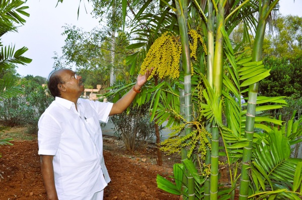 4,200 saplings grown by Ramadoss, are all money bearing trees 4,200 saplings grown by Ramadoss, are all money bearing trees