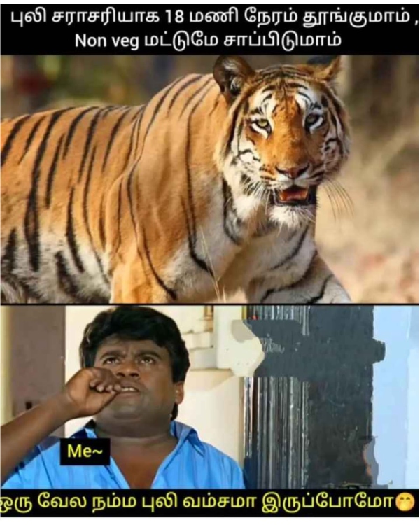Purattasi sunday memes: Funny memes collection on purattasi month sunday 08-10-23