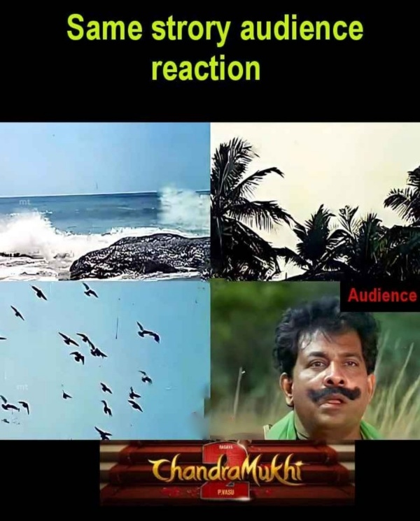 Funny memes collection on chandramukhi 2