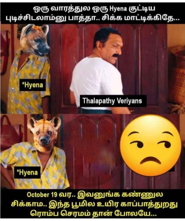 Leo hyna memes: Funny memes collection on Vijays Leo movie and hyna