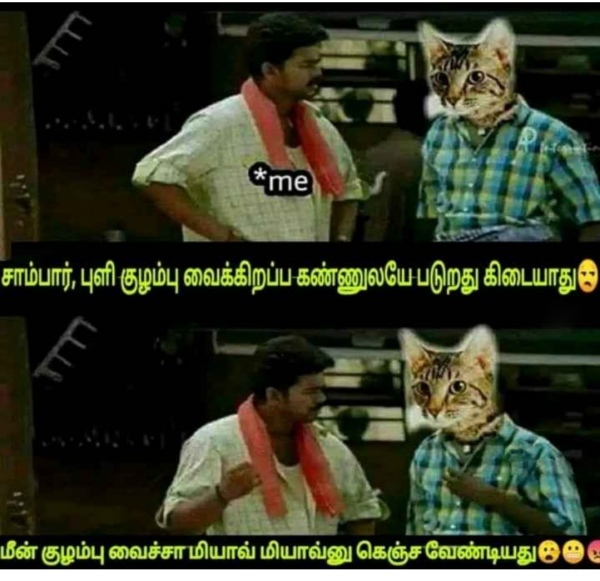 Purattasi sunday memes: Funny memes collection on purattasi month sunday Purattasi sunday memes: Funny memes collection on purattasi month sunday