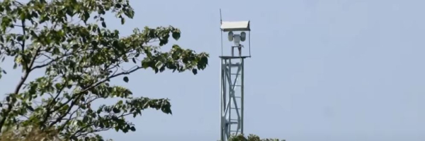  Monitoring with artificial intelligence tools to prevent elephants from getting hit by train tracks