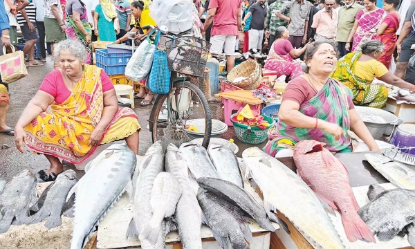 Chennai Kasimedu Fish Market and Fishermen were happy as Puratasi month was over