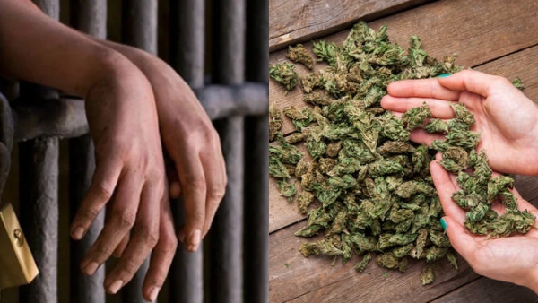 Chennai Special court gives 5 years prison for youth who has Kanja 