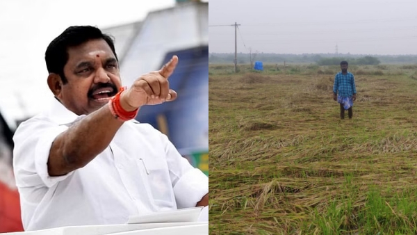 AIADMK party to protest in Delta districts of Tamil Nadu for Cauvery issue 