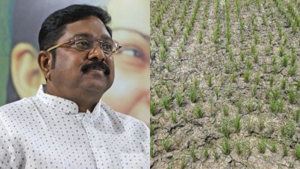 TTV Dhinakaran urges dmk government to give compensation of 35 thousand per hectare for farmers 