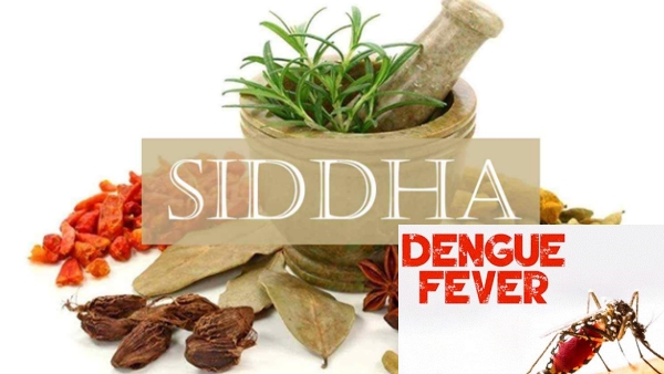 Siddha medicine has ability to cure Dengue fever 