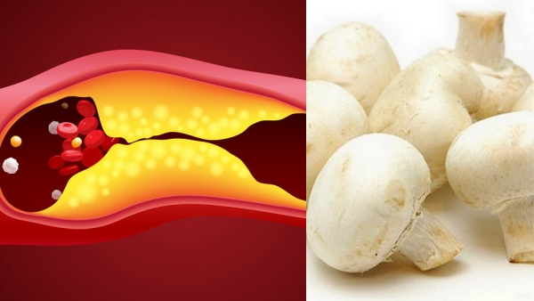 Do you know Excellent Health benefits of Mushroom and Mushrooms are the Best Food for Weight Loss