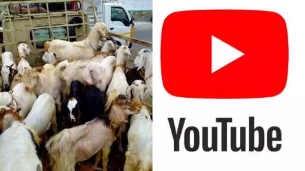 Unidentified person scammed YouTube goat merchant Perumal