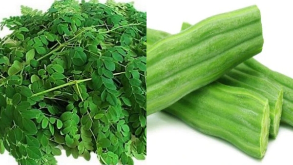 Do you know the Amazing Benefits in Drumstick Leaves and Excellent Moranga Juice for Weight Loss