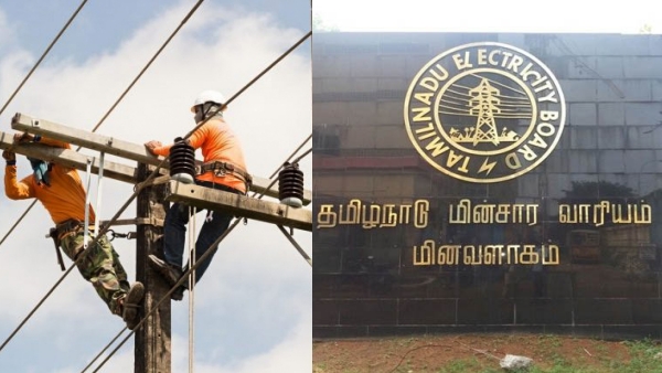 Electrical workers are responsible for accidents due to non-compliance of rules TNEB 