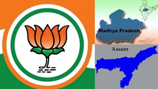  Lok Sabha Elections: NDA wins most seats in Madhya Pradesh, Assam, TImes now ETG survey