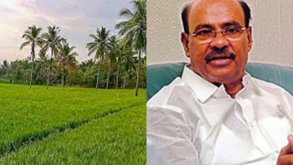Ramadoss stated, Paddy yield is 33% less due to lack of water in Cauvery, Give compensation of Rs.40,000 per acre Ramadoss stated, Paddy yield is 33% less due to lack of water in Cauvery, Give compensation of Rs.40,000 per acre