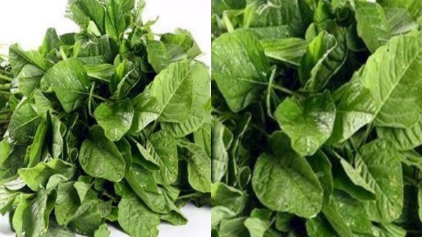 Do you know Amazing Health benefits of Arai Keerai and 5 excellent Leaves for cure High Blood pressure Do you know Amazing Health benefits of Arai Keerai and 5 excellent Leaves for cure High Blood pressure