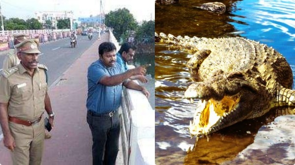 Crocodile movement in Cauvery! Dont throw meat into the river! Forest department alert! 