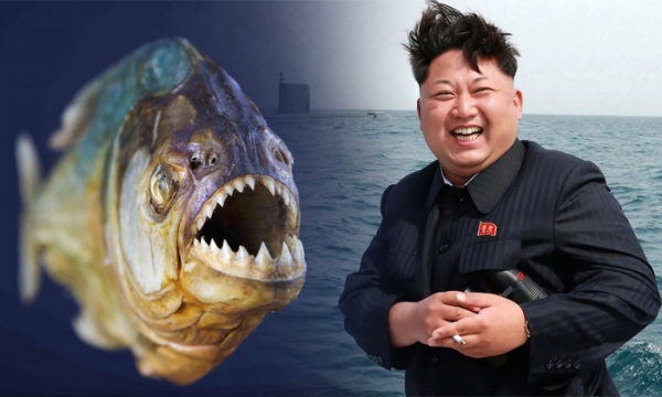  Why Kim Jong Un executes general by throwing into piranha fish tank