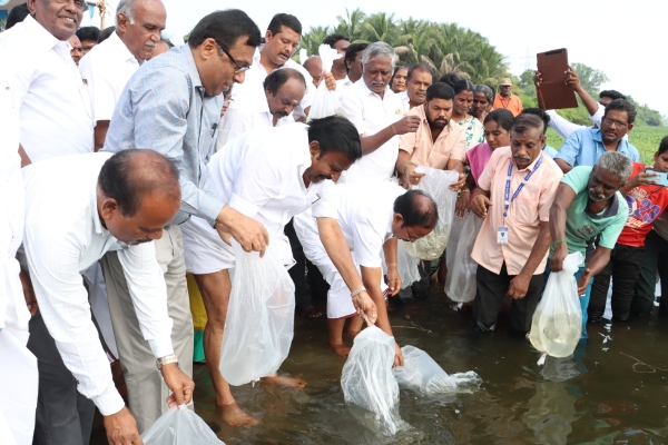 Minister KN Nehru released 1 lakh fish fingerlings in Mettur Cauvery river