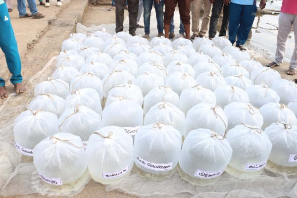 Minister KN Nehru released 1 lakh fish fingerlings in Mettur Cauvery river