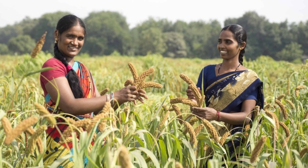 PM KISAN 2023 : These 3 things should be done in the next five days for 15th installment 