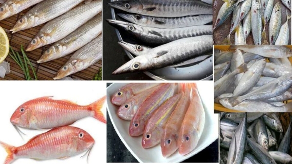 Do you know the Amazing Benefits of Fish and What types of Fish can Pregnant Women eat