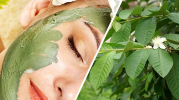Do you know Amazing Health benefits of Karpooravalli Leaves and Excellent Tips for Skin Glowing