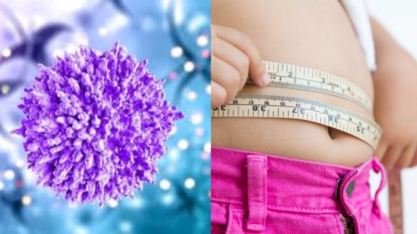 Do you Know Health benefits of Guggul and and Triphala Powder is the Best Herbal for Weight Loss