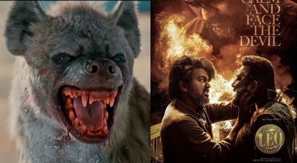 Leo Trailer: What is Hyena that Vijay is fighting in the movie in Jammu Kashmir?