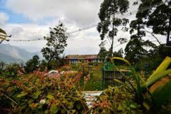 Israel - Palestine war: Tamil Nadu steps up security to Jewish settlements in Kodaikanal Israel - Palestine war: Tamil Nadu steps up security to Jewish settlements in Kodaikanal