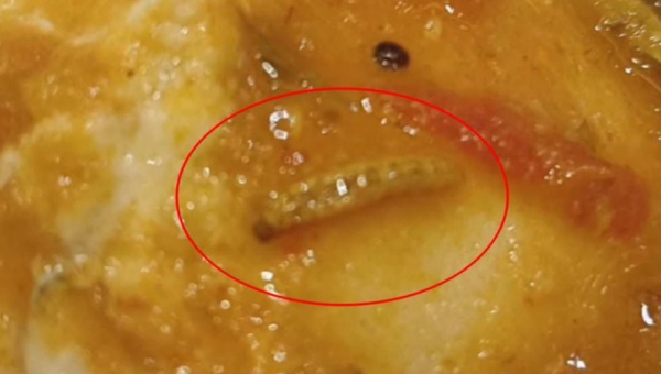  Worm in famous hotels sambhar idly made shocking 