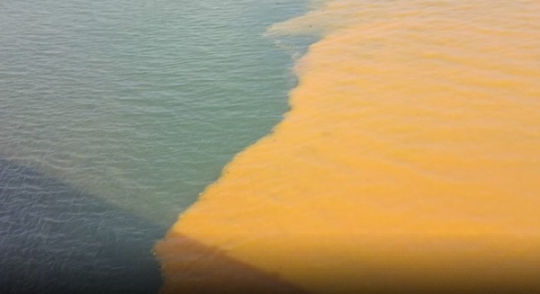Kosasthalai river water color changed to yellow