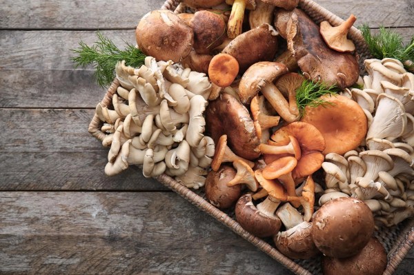 What are the health benefits of Mushroom? 