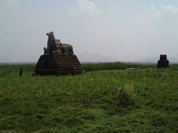 Mettur dam turned into a pond People cultivating crops Full darshan of Nandi idol Mettur dam turned into a pond People cultivating crops Full darshan of Nandi idol