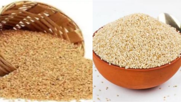 Kuthiraivali Rice is the Best Food for Heart Patients, and Do you know, Excellent Benefits in the Horsetail rice Kuthiraivali Rice is the Best Food for Heart Patients, and Do you know, Excellent Benefits in the Horsetail rice