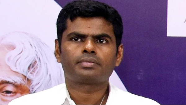 Why did Annamalai wait in Delhi and What did he talk with Nirmala Sitharaman in Delhi ?