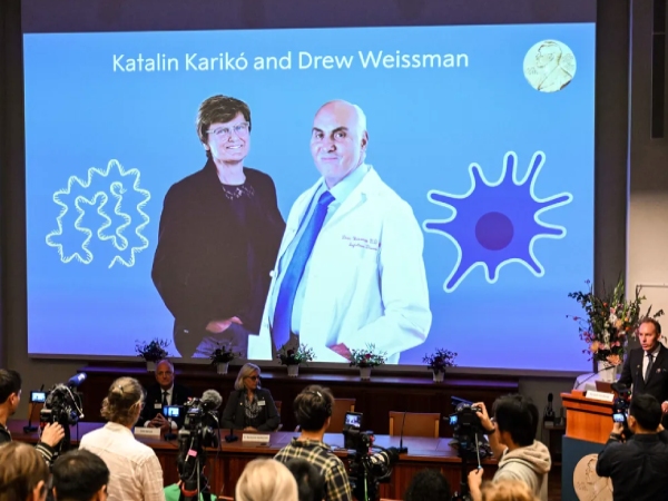  What is mRNA Vaccines That Two Scientists got Nobel Prize In Medicine