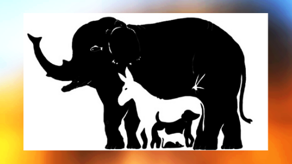Optical illusion: There are 13 animals here, If you can find it in 17 seconds, you are genius 