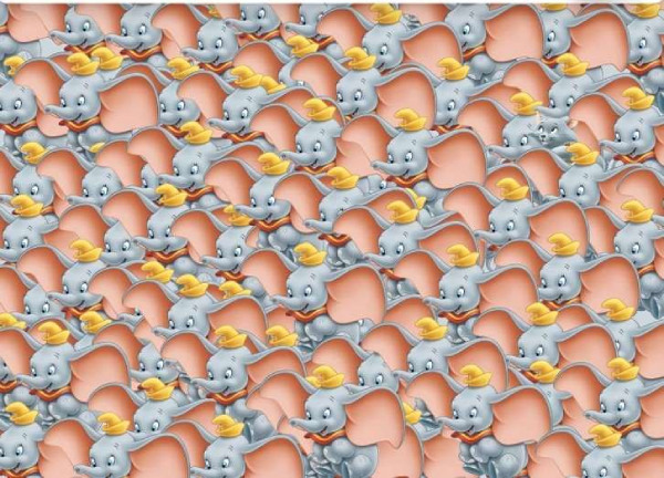 A cat hiding among baby elephants, If you can find it in 7 seconds, you are a genius A cat hiding among baby elephants, If you can find it in 7 seconds, you are a genius