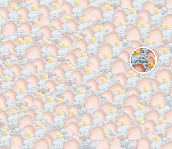 A cat hiding among baby elephants, If you can find it in 7 seconds, you are a genius A cat hiding among baby elephants, If you can find it in 7 seconds, you are a genius