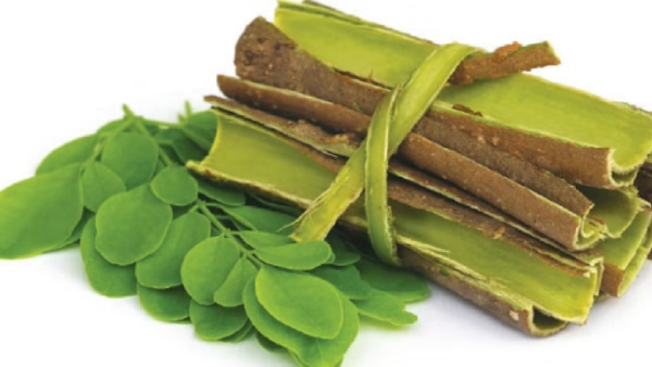 Do you know the Excellent Benefits of Drumstick Bark and what are Super uses of Banana Bat