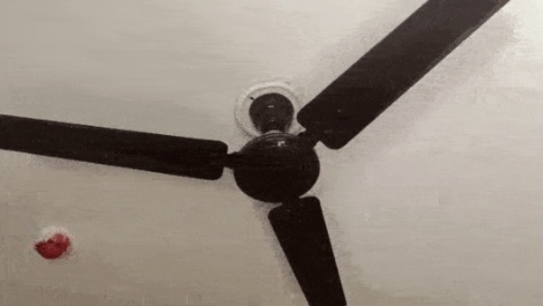 Videos shared on social medias Fans, lights, racks shakes at house in delhi after tremors jolts 