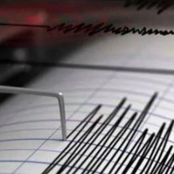 Videos shared on social medias Fans, lights, racks shakes at house in delhi after tremors jolts 