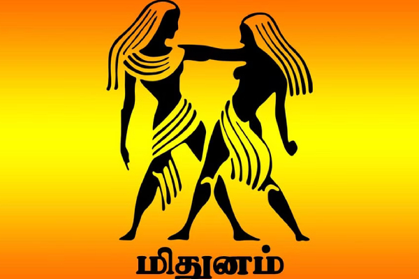 Rahu Ketu Peyarchi Palan 2023: Rahu ketu transit for Mithunam Rasi Parikaram 