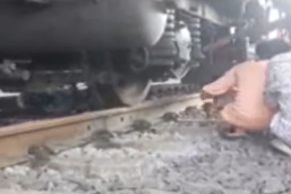 Man escaped from moving train accident after lied down on track at Pallavaram in Chennai 