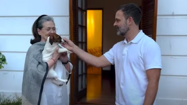 Rahul Gandhi Insult to Muslim girls after naming pet dog Noorie, says Owaisis AIMIM leader 