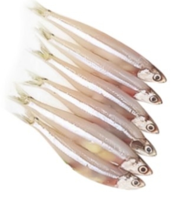 Do you know what are the Health benefits in Nethili meen and Nethili Fish is the Best food for Weight Loss Do you know what are the Health benefits in Nethili meen and Nethili Fish is the Best food for Weight Loss