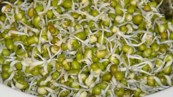 Do you know Excellent Benefits in Green gram and How we prepare Moong sprouts for Weight Loss